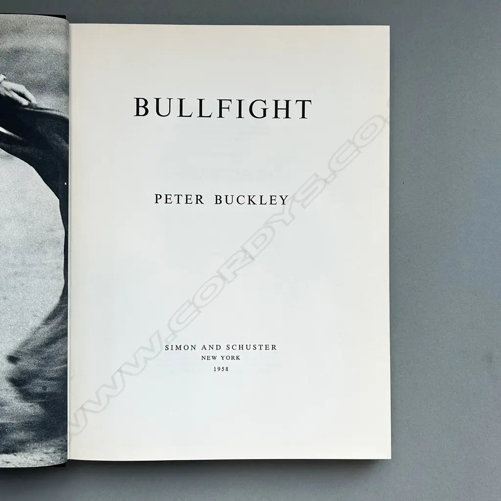 PETER BUCKLEY: BULLFIGHT Image 1++
